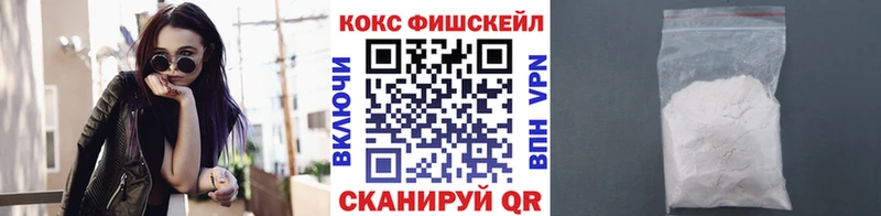 купить наркотик  Волосово  COCAIN Эквадор 